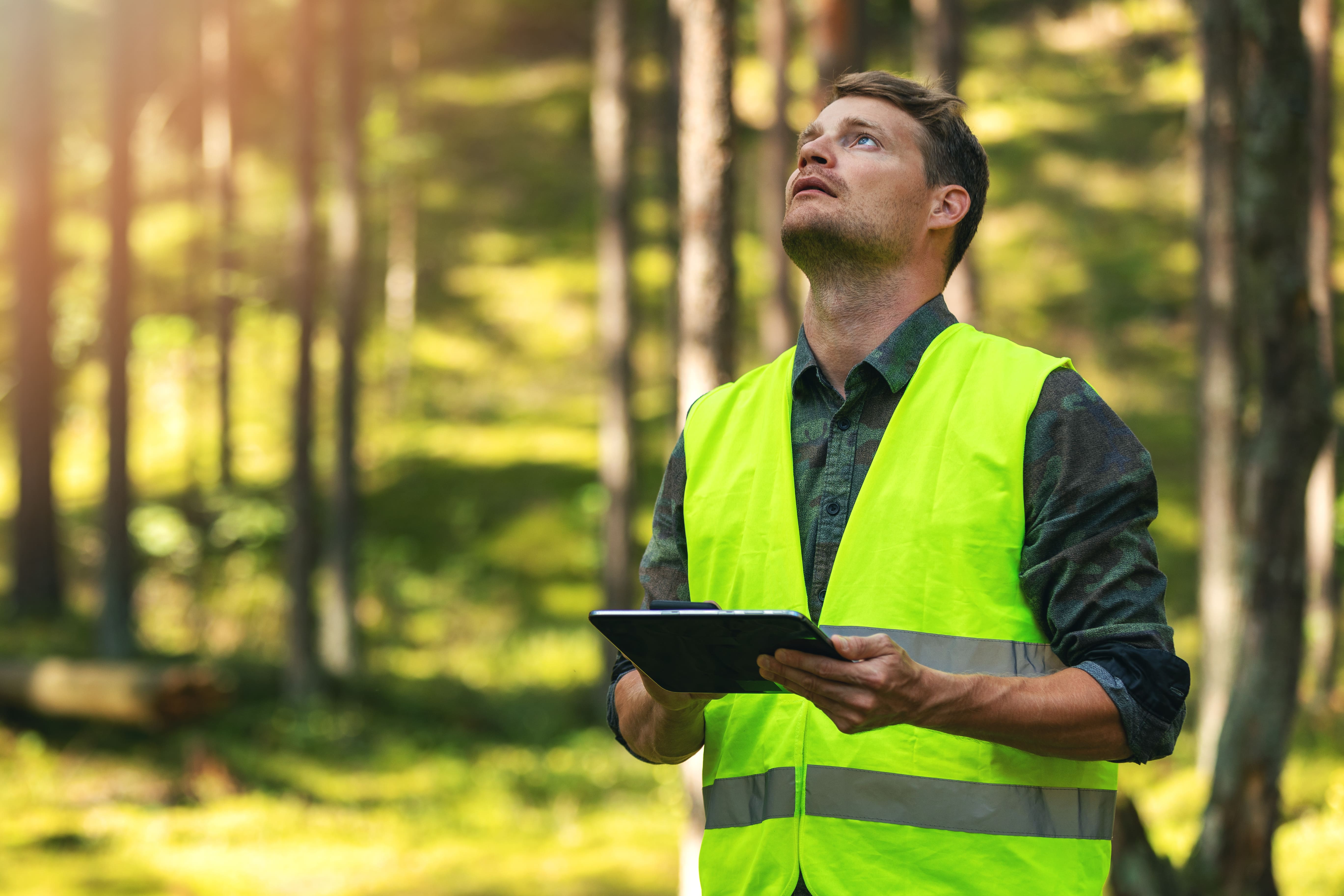 Gestion d'une forêt FSC